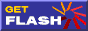 Flash Player̃_E[h